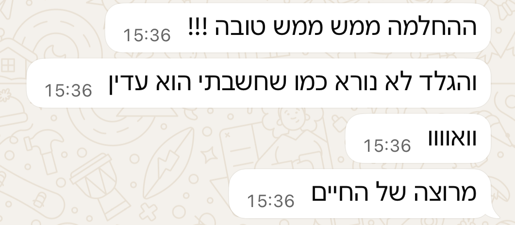 המלצה 2